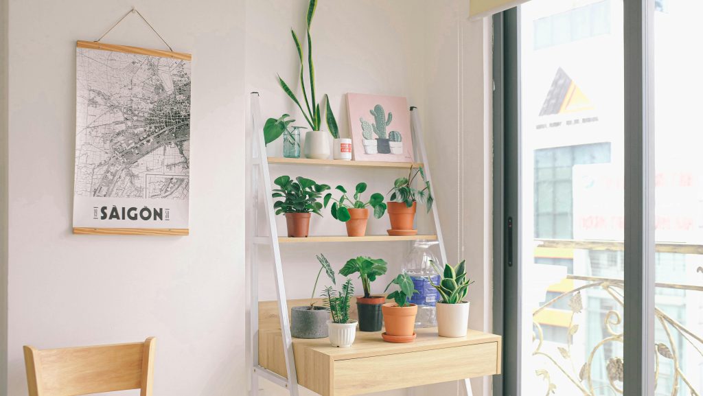 pexels-photo-2934084-2934084 Ladder shelf with plants and baskets creating vertical storage in a small apartment